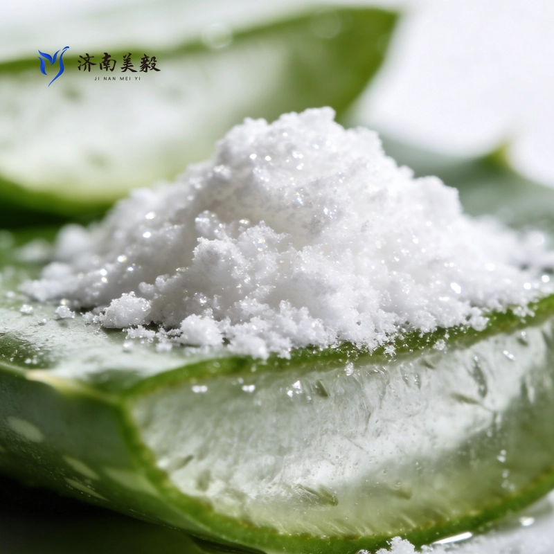 Aloe Vera kivonat útmutató: Alkalmazások, előnyök és piaci betekintések