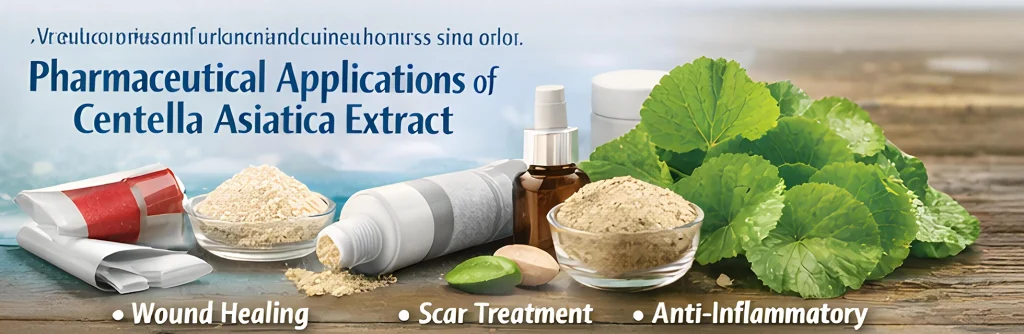 Centella Asiatica extract pharmaceutical applications including wound healing, scar treatment, and anti-inflammatory use