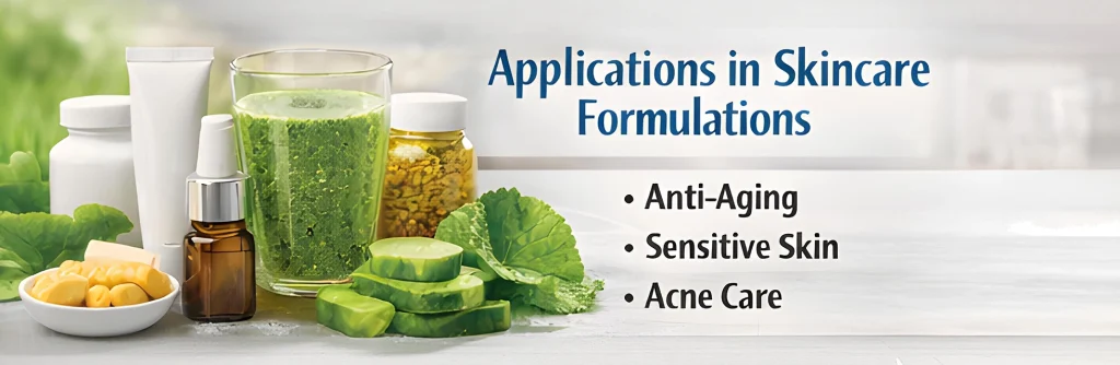 Centella Asiatica extract benefits for skincare including anti-inflammatory, wound healing, and collagen support
