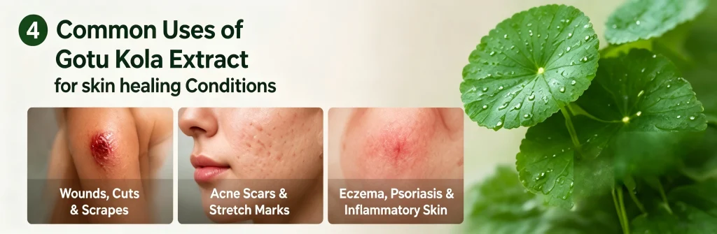 Before and after images of acne scars, minor wounds, and stretch marks improved with Gotu Kola extract.