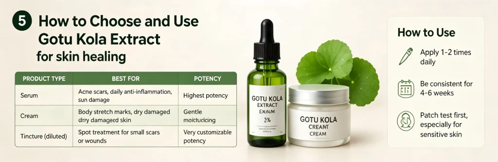 Gotu Kola serum, cream, and tincture displayed with Centella Asiatica leaves for skin repair.