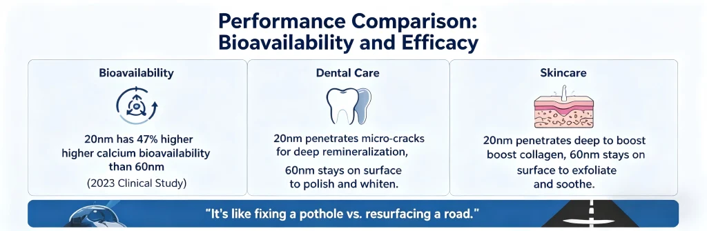 Performance comparison of hydroxyapatite showing bioavailability efficacy and penetration differences between 20nm and 60nm particles