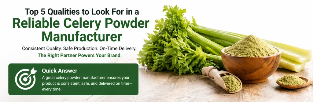 A guide on how to find a reliable celery powder manufacturer, highlighting consistent quality, safe production, and on-time delivery for brands.