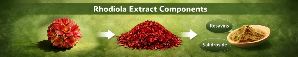 Rhodiola extract supplier bulk manufacturing and quality control